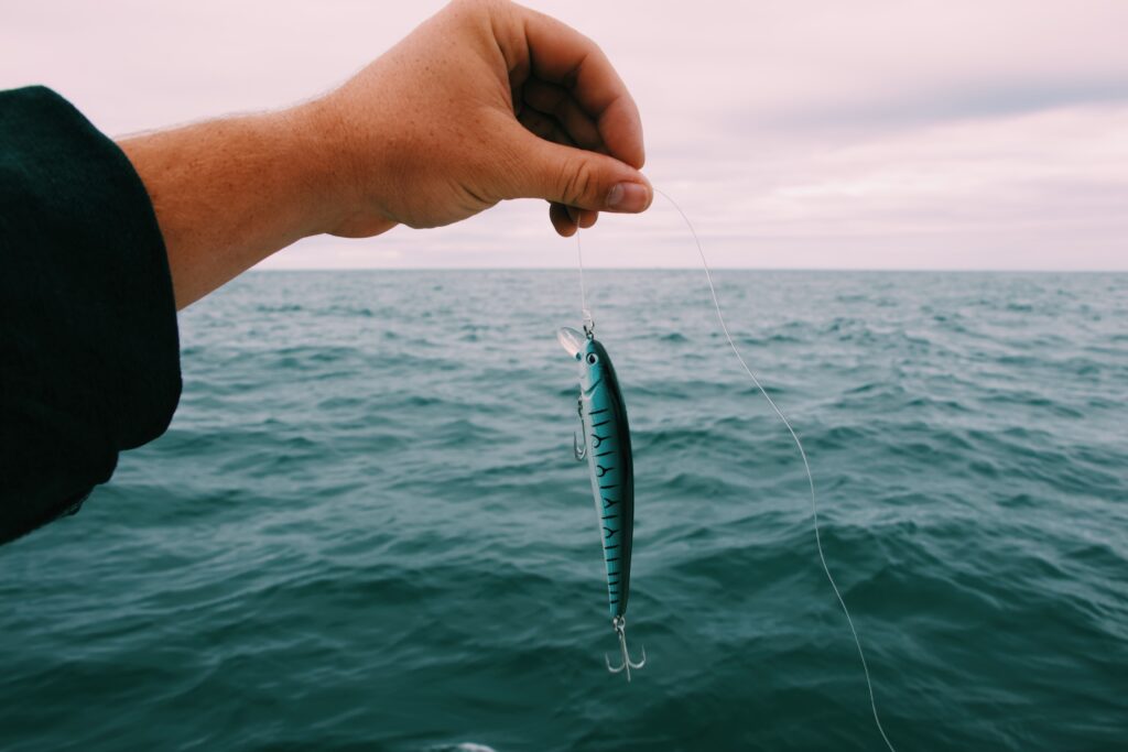 person holding fishing bait with sea cloudy sky Forside